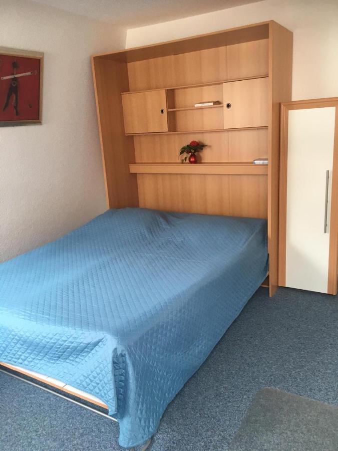 Haus Dachsberg Todtmoos Apartment Екстериор снимка