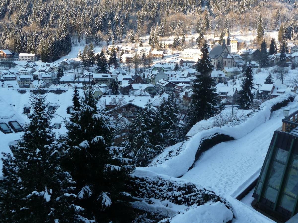 Haus Dachsberg Todtmoos Apartment Екстериор снимка