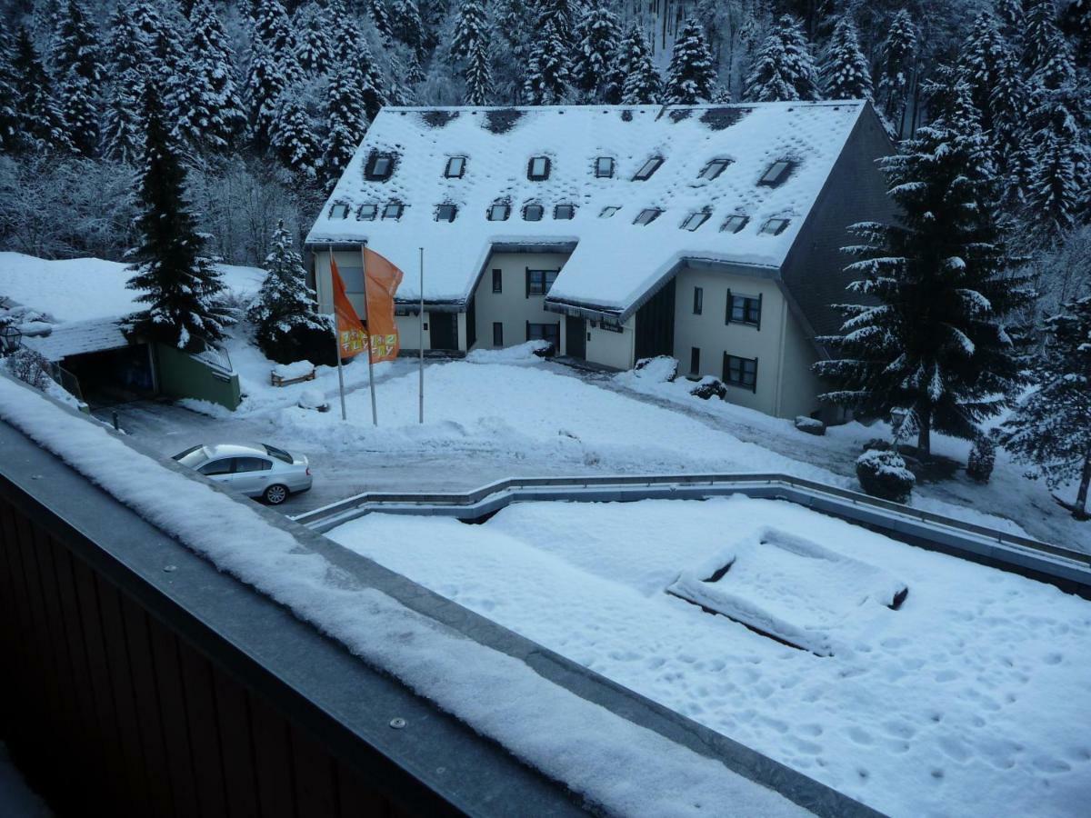 Haus Dachsberg Todtmoos Apartment Екстериор снимка
