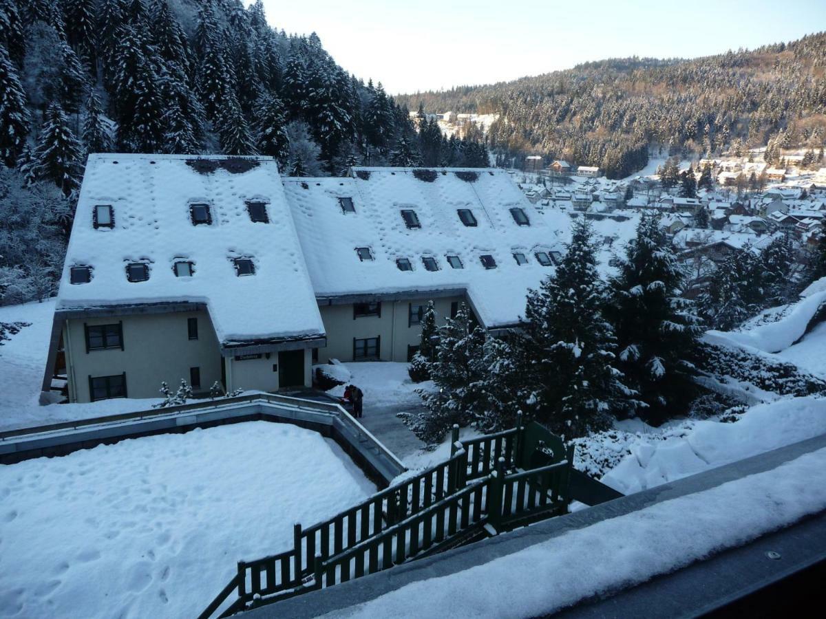 Haus Dachsberg Todtmoos Apartment Екстериор снимка